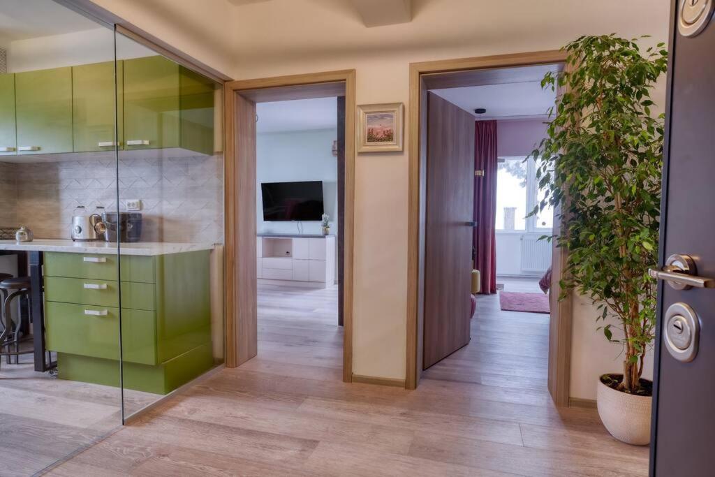 Central Luxury Apartment With City View Брашов Екстериор снимка