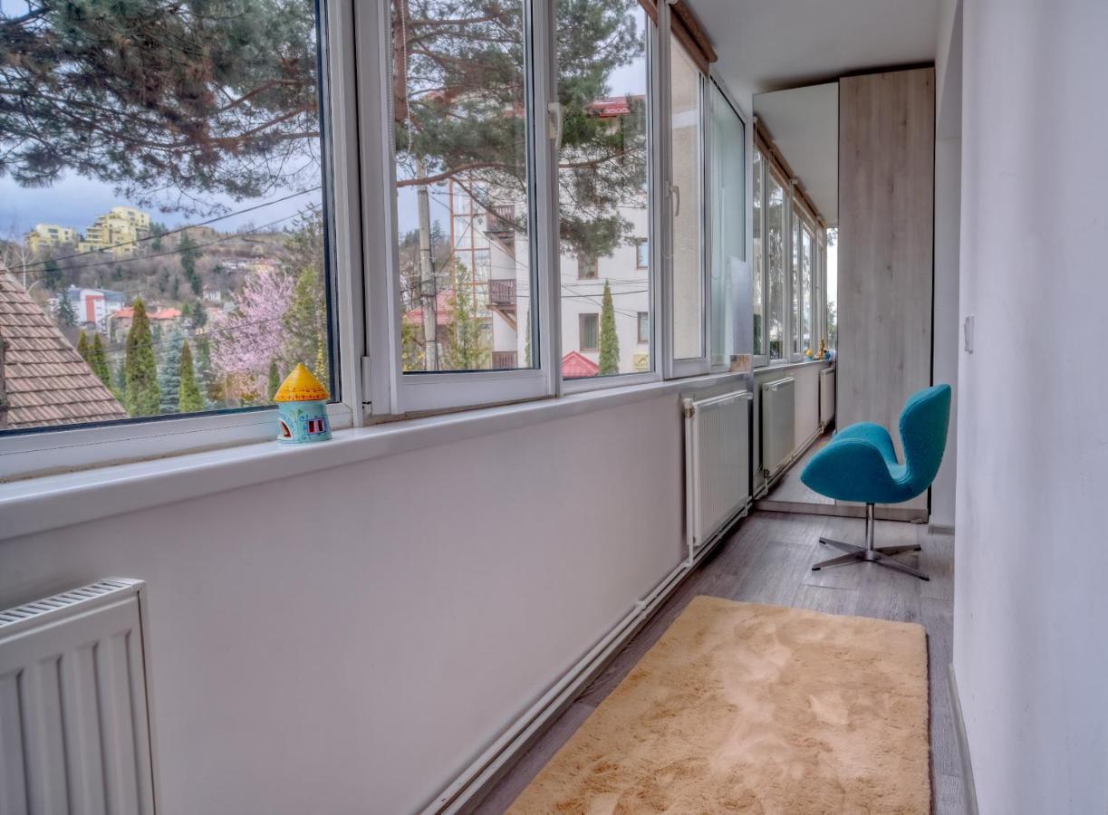 Central Luxury Apartment With City View Брашов Екстериор снимка